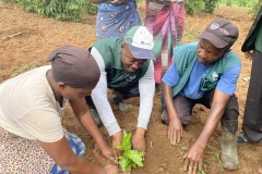 Demonstration-on-Transplanting-Passion-Fruit-in-main-garden_4