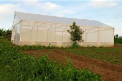 Green-House-at-Project-Site-in-Portrait