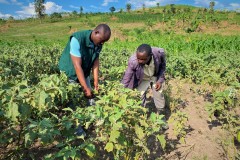 PA-visiting-project-FOUR-beneficiary-farm_4