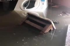 IMG-20230607-WA0016